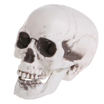 Пластиковый мини-череп человека G5AA, реквизит, голова скелета, украшение для кофейных баров на Хэллоуин
