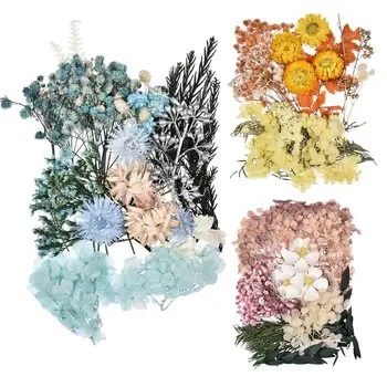 Высушенные прессованные цветы для гербария растений из смолы для изготовления ювелирных изделий Множество красочных прессованных цветов для изготовления смолы для рукоделия