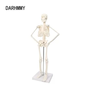 DARHMMY 45-сантиметровая Анатомическая модель человеческого Съемного скелета, Гибкие Руки И Ноги, образовательные инструменты Оптом и в розницу