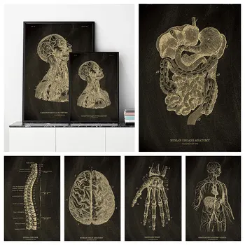 Винтажные плакаты Head Joint Ретро Крафт-плакат Структура человека, медицинская научная картина, домашний декор, бытовая живопись для стены