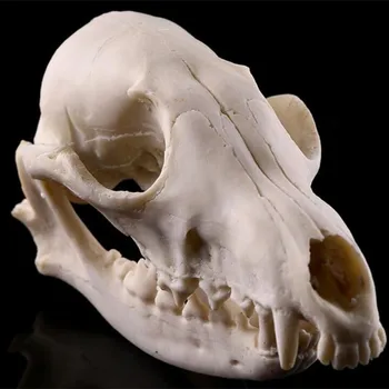 Модель из лисьей кости, поделки из смолы, реквизит для головы скелета, Персонализированные украшения